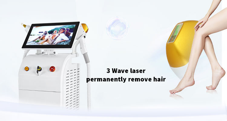 详情图03 详情图03