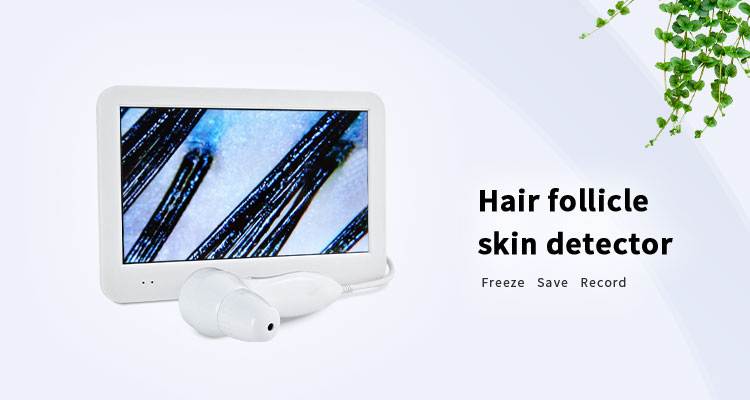 详情图01 详情图01