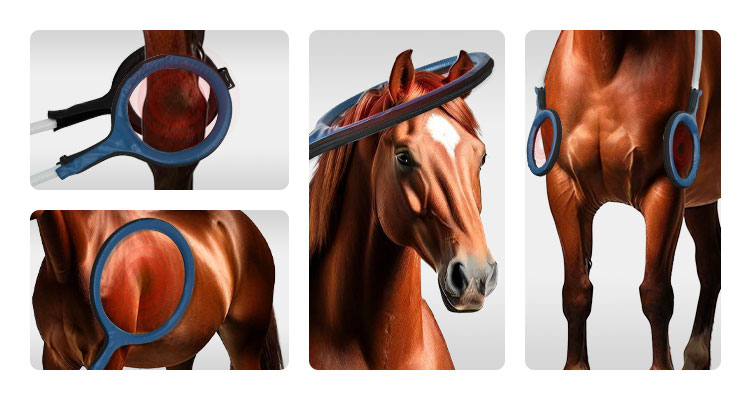 详情图05-1 详情图05-1