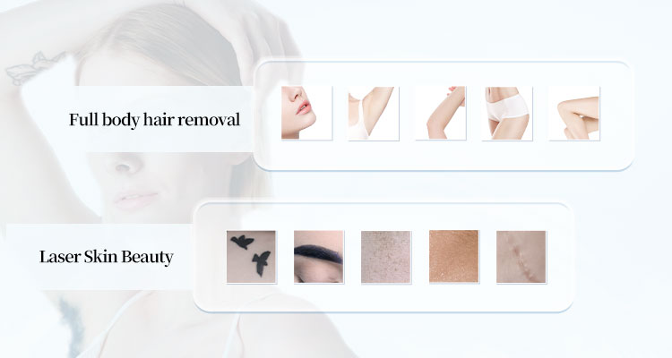 详情图02 详情图02