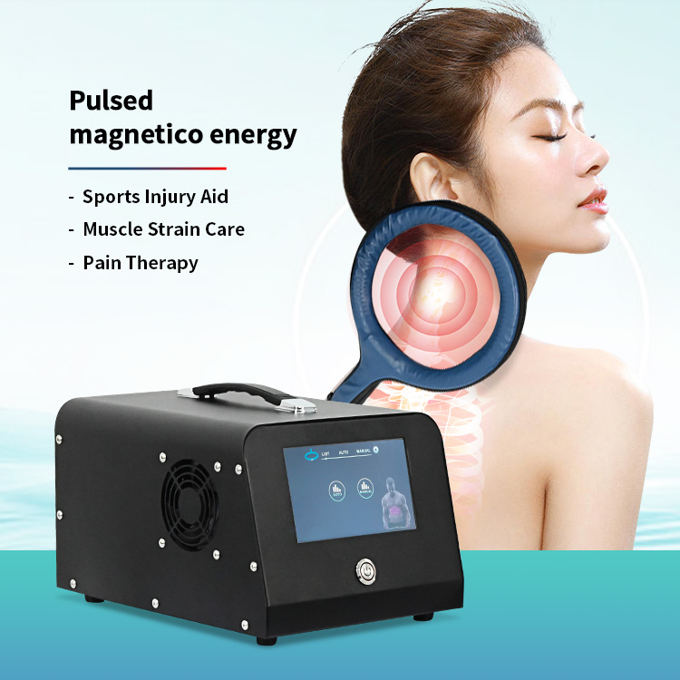 Pemf Magnetic Therapy Machine For Horses Magneto Therapy Loop Pulsed Pain Relief Equipment