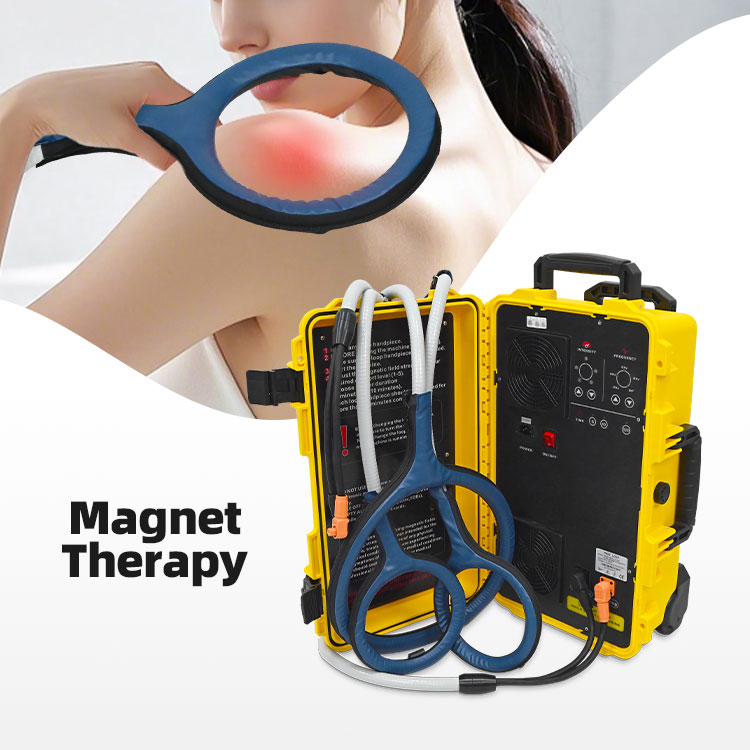 Pemf Pulsed Magnetic Pain Relief Magnetic Therapy Device Pmst Loop For Horse Animals Muscle Recovery