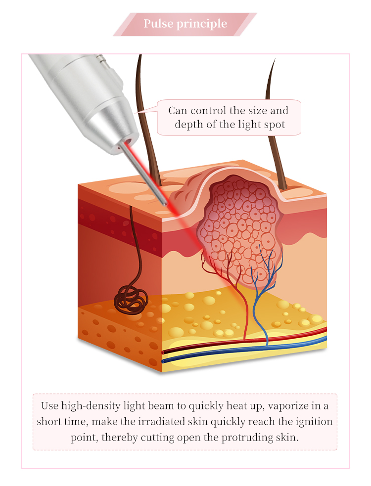 欧洲之星详情_11