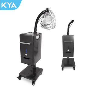 Micro Mist Hair Treatment Machine Professional Ozone Spa Scalp Therapy Hair Steamer For Hair Salon
