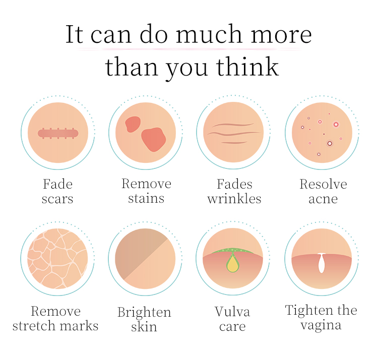 欧洲之星详情_06