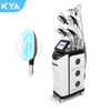 Cryo Fat Freeze 5 Handles Fat Freezing Machine Cryolipolysis 360 Cryolipolyse Body Slimming