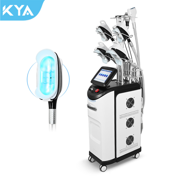 Cryo Fat Freeze 5 Handles Fat Freezing Machine Cryolipolysis 360 Cryolipolyse Body Slimming
