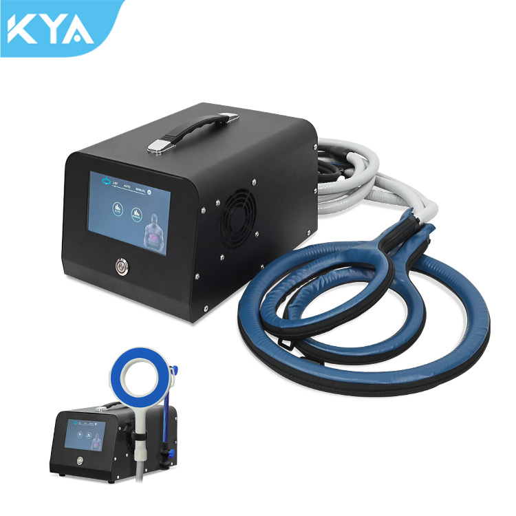 Pemf Magnetic Therapy Machine For Horses Magneto Therapy Loop Pulsed Pain Relief Equipment