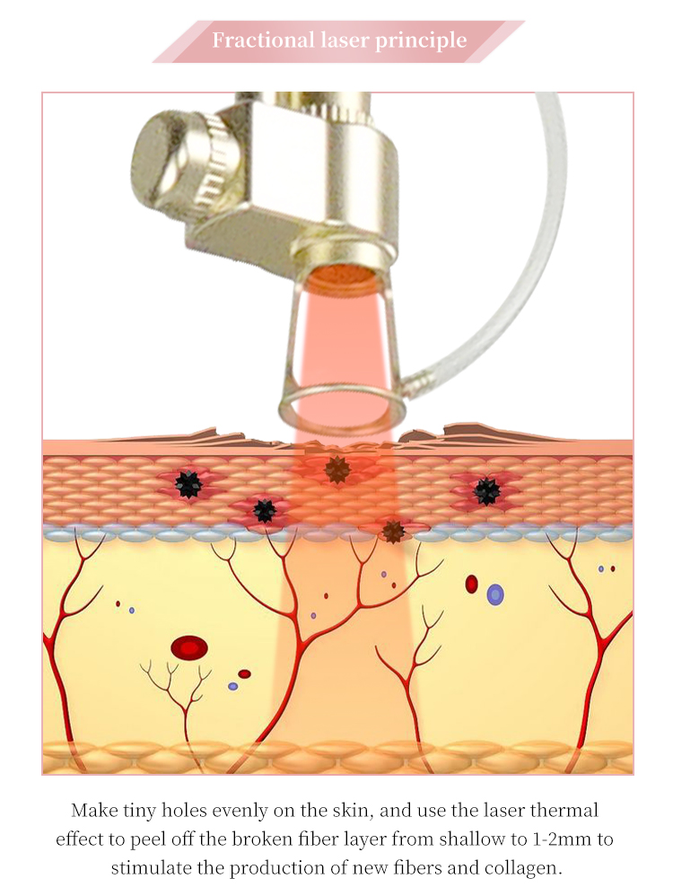欧洲之星详情_10