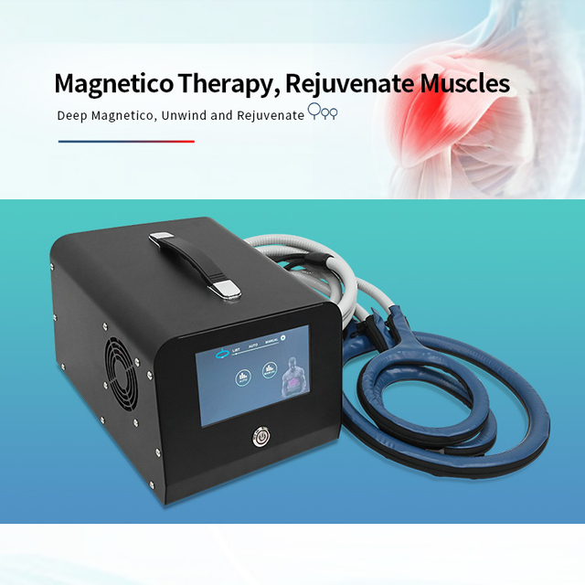 Pemf Magnetic Therapy Machine For Horses Magneto Therapy Loop Pulsed Pain Relief Equipment