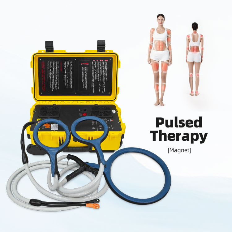 Pemf Pulsed Magnetic Pain Relief Magnetic Therapy Device Pmst Loop For Horse Animals Muscle Recovery