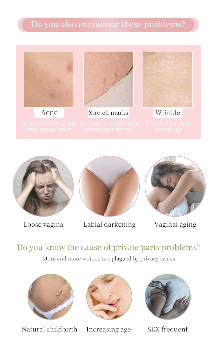 欧洲之星详情_03