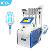 Portable 360 Cryo Cooling Slimming Machine Body Shape Cryolipolies 360 Degree 3 Handles Cryo Cryolipolyes Fat Reduce Machines 