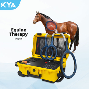 Pemf Pulsed Magnetic Pain Relief Magnetic Therapy Device Pmst Loop For Horse Animals Muscle Recovery