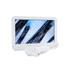 Desktop Hd Microscope Hair Scalp Detection Machine Hair Follicles Follicles Scanner Detector Analyzer