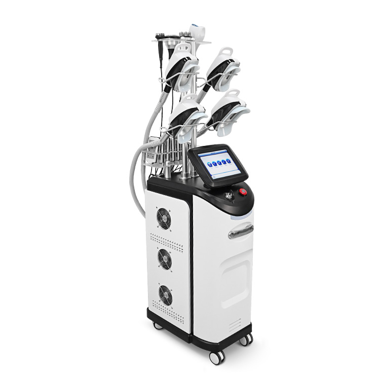 Cryo Fat Freeze 5 Handles Fat Freezing Machine Cryolipolysis 360 Cryolipolyse Body Slimming